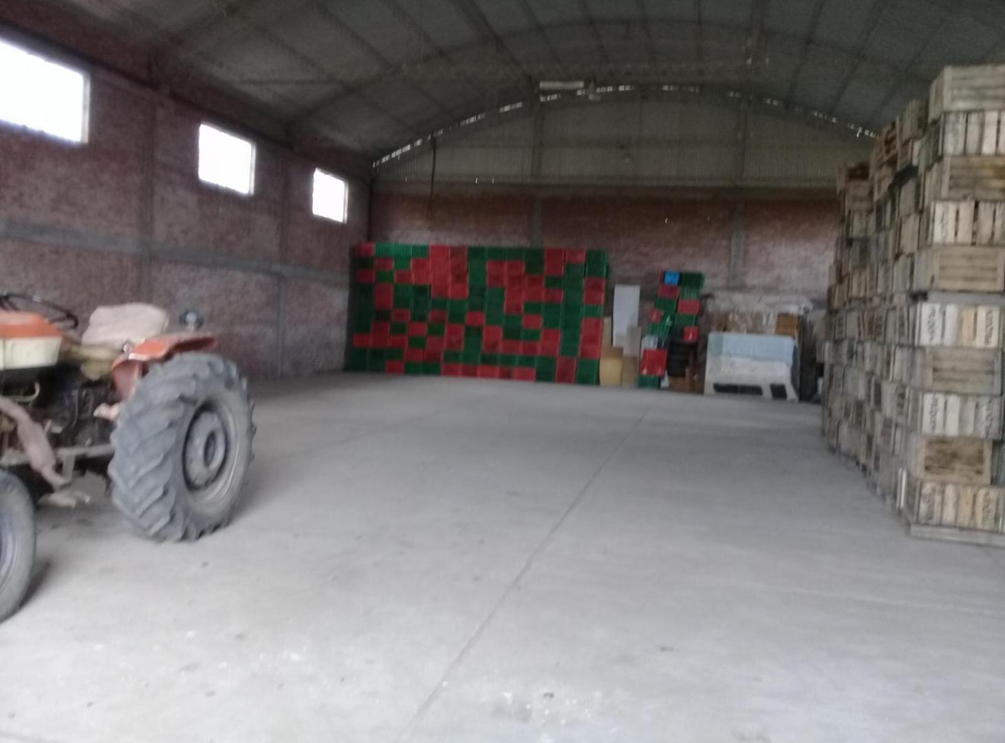 Foto de Extraordinaria Finca de 18 Hectáreas en Goudge, imagen 5