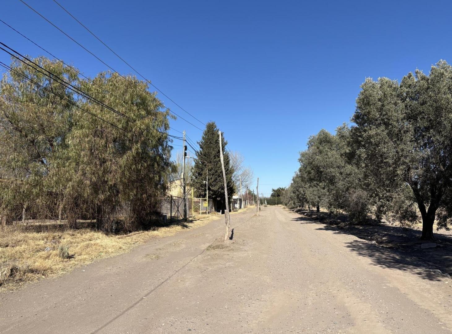 Foto de Terreno en venta en Las Paredes - Las Vírgenes al 1100, imagen 4
