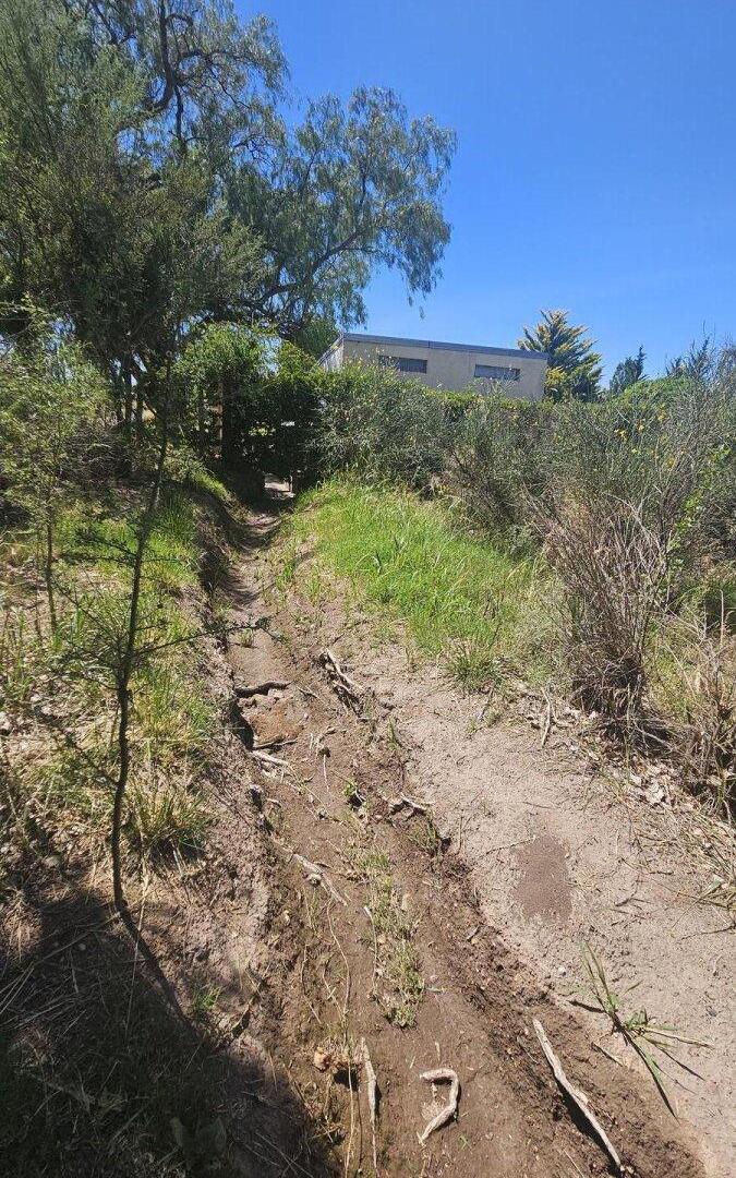 Foto de Terreno de 1 Ha en Rama Caída, calle La Bodega, imagen 5