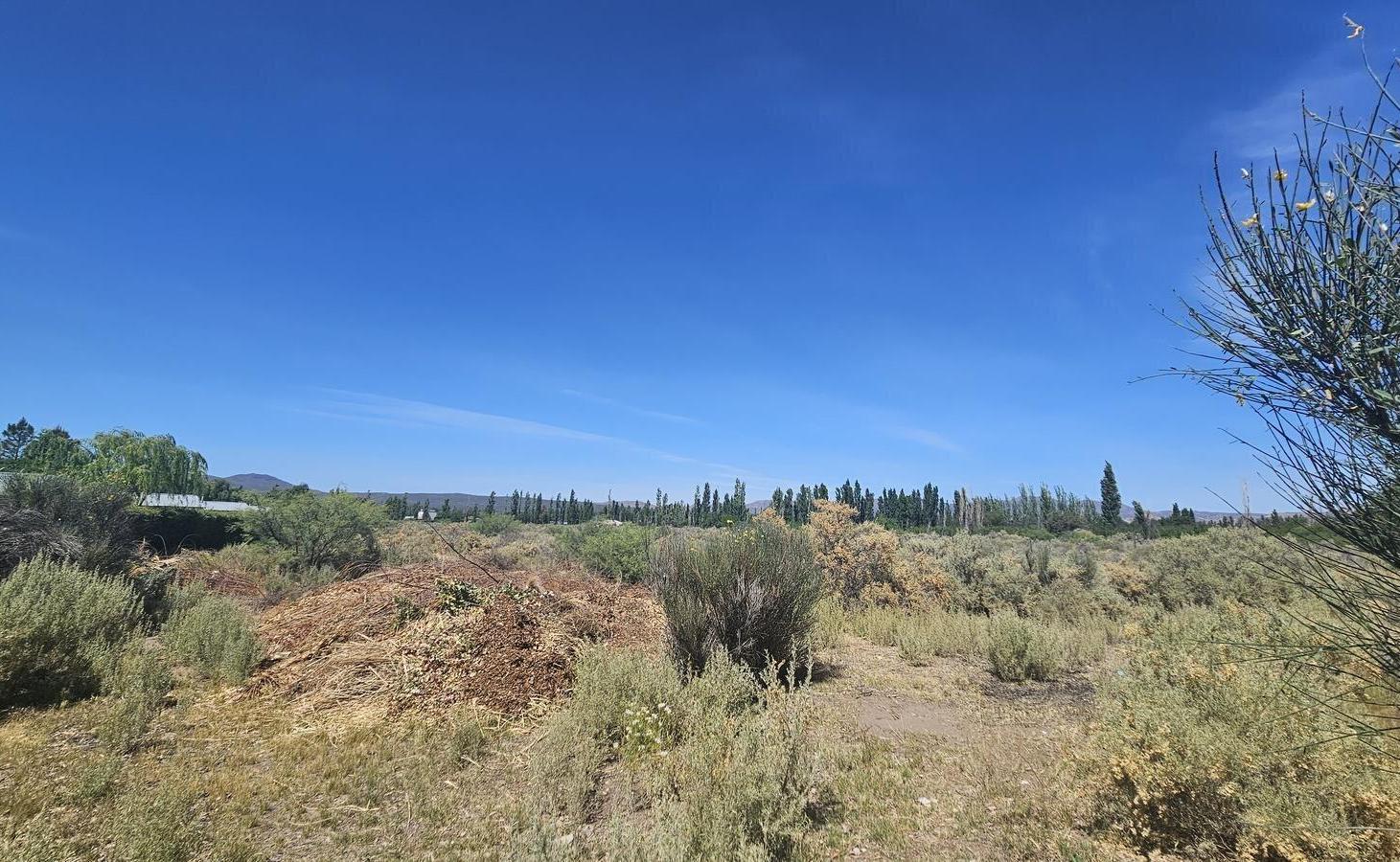 Foto de Terreno de 1 Ha en Rama Caída, calle La Bodega, imagen 1