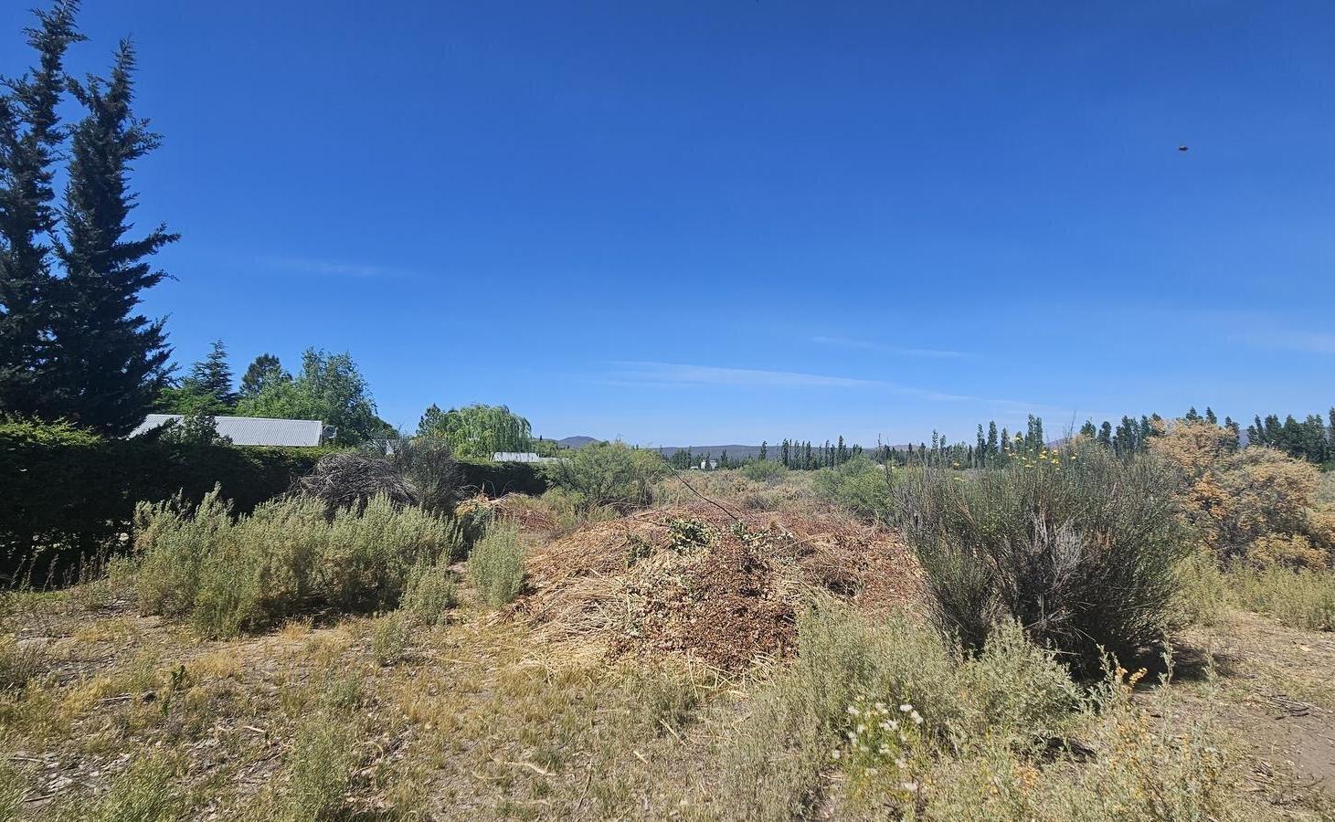 Foto de Terreno de 1 Ha en Rama Caída, calle La Bodega, imagen 2