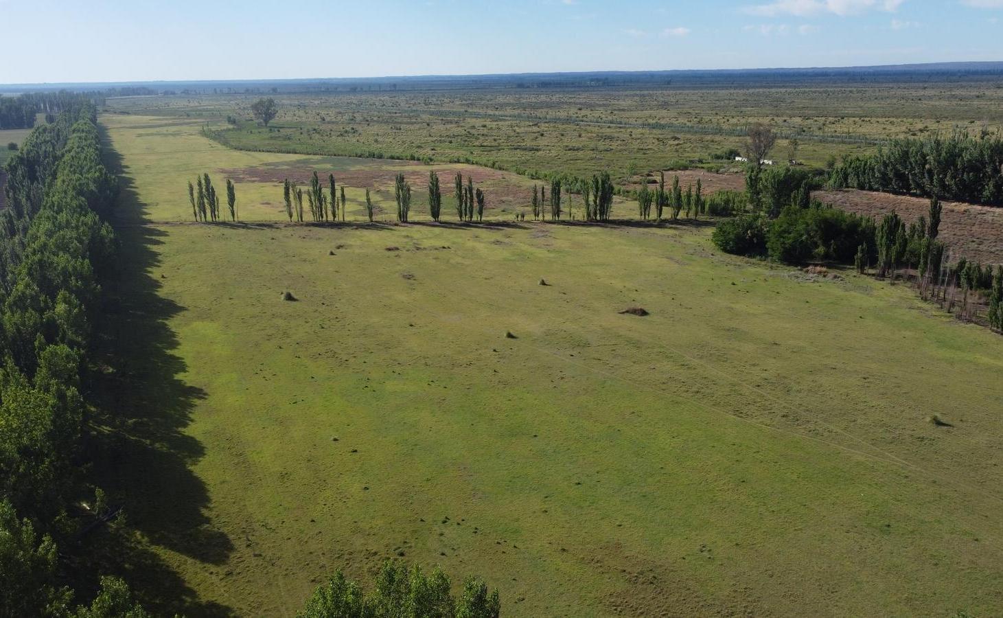 Foto de Propiedad rural de 500 hectáreas en venta en Goudge, imagen 3