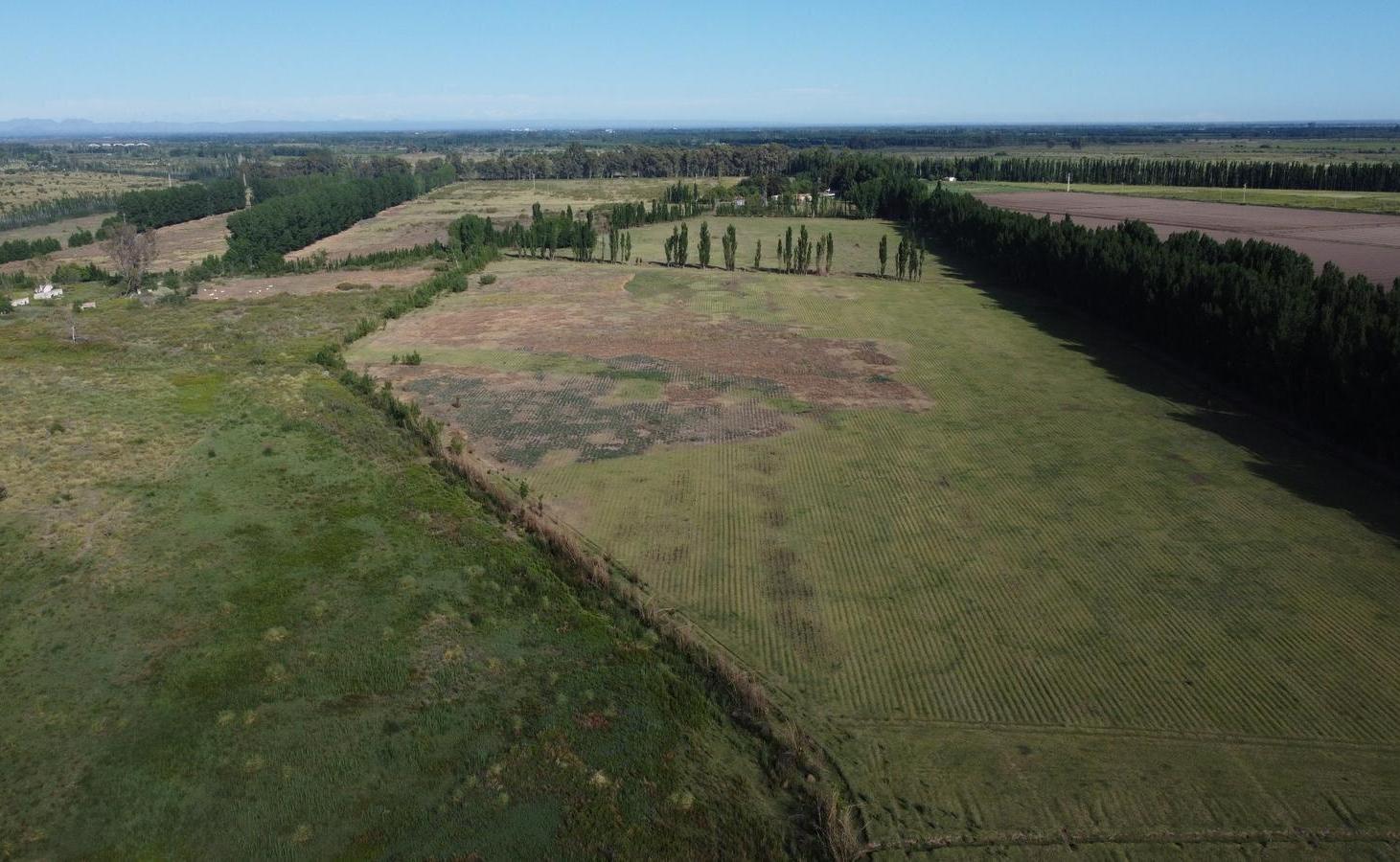 Foto de Propiedad rural de 500 hectáreas en venta en Goudge, imagen 5