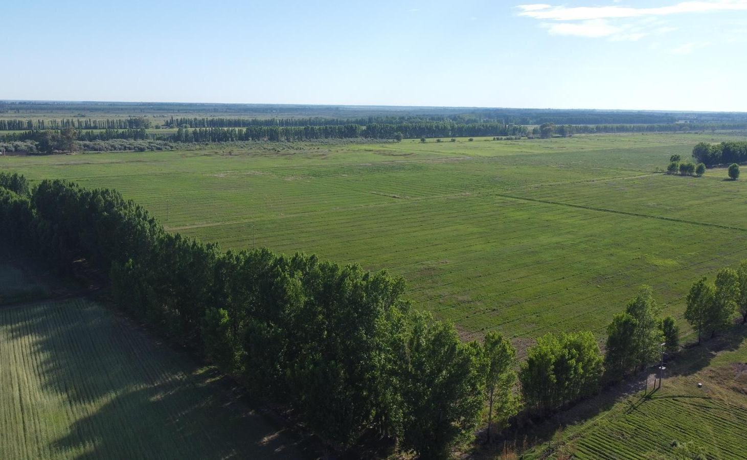 Foto de Propiedad rural de 500 hectáreas en venta en Goudge, imagen 1