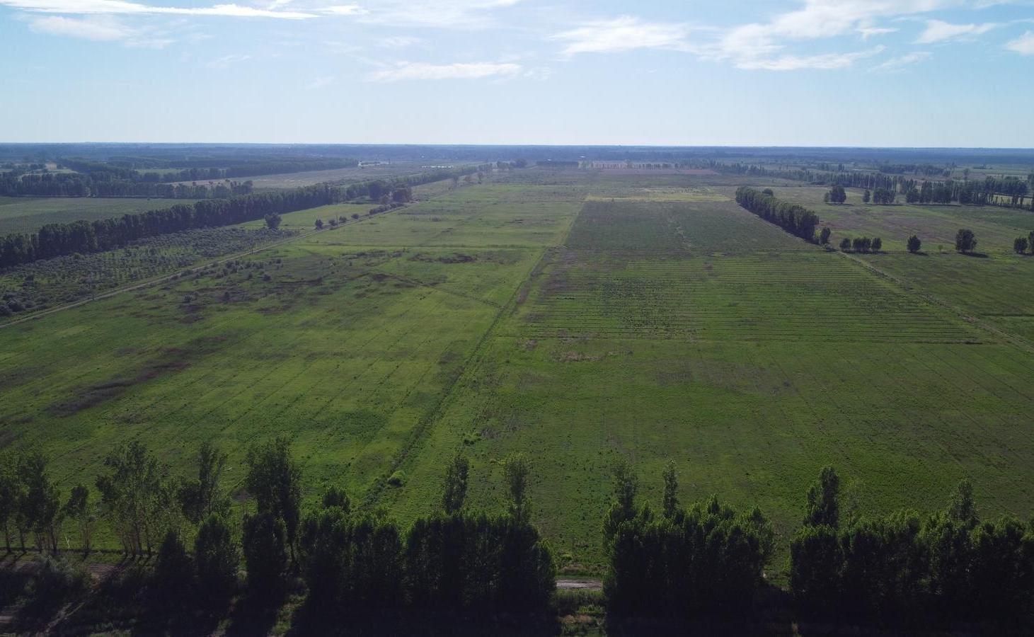 Foto de Propiedad rural de 500 hectáreas en venta en Goudge, imagen 4