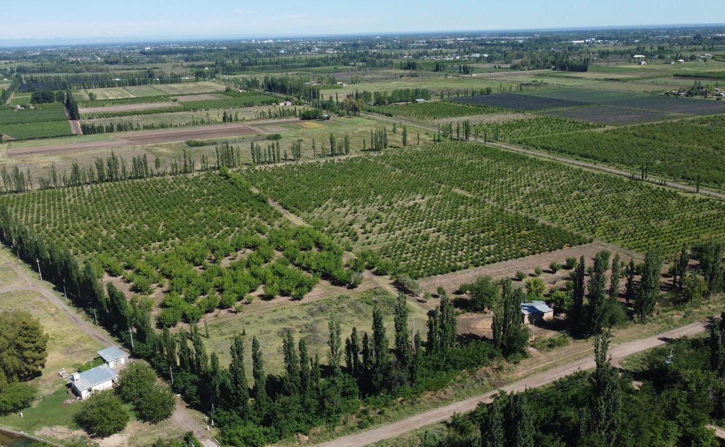 Foto de Finca productiva de 12 hectáreas – Prolongación Ruta 165, imagen 1