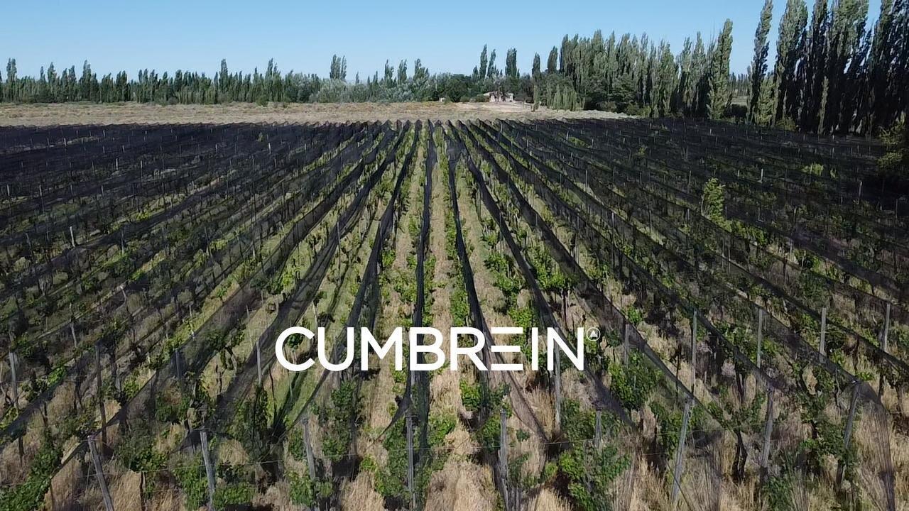 Foto de Finca Productiva y Viñedos en San Rafael | 48 Ha | Seguridad Hídrica y, imagen 1