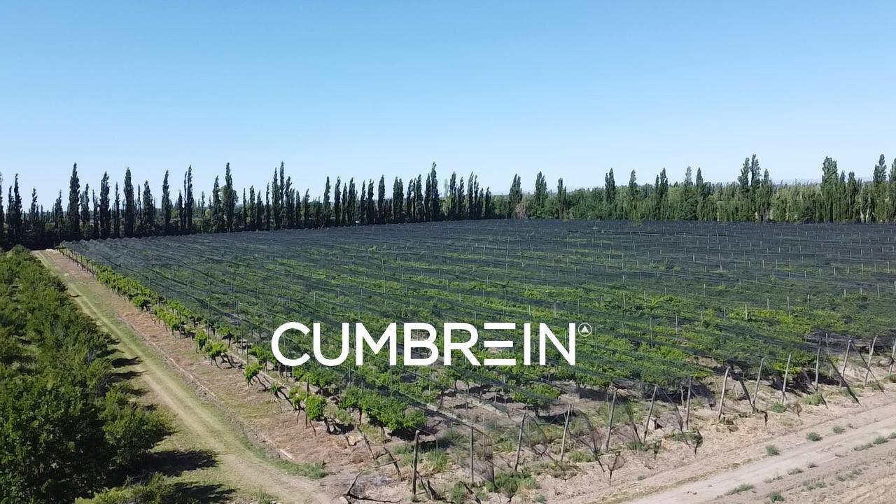 Foto de Finca Productiva y Viñedos en San Rafael | 48 Ha | Seguridad Hídrica y, imagen 2