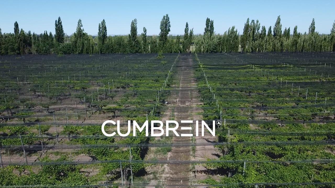 Foto de Finca Productiva y Viñedos en San Rafael | 48 Ha | Seguridad Hídrica y, imagen 3