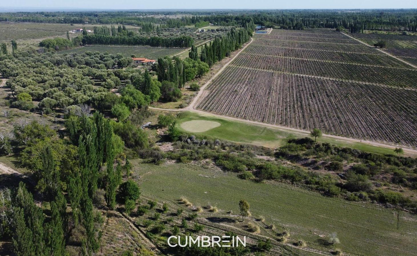 Foto de Lote E-9 en Algodon Wine Estates | 5.441 m² | Golf, imagen 4