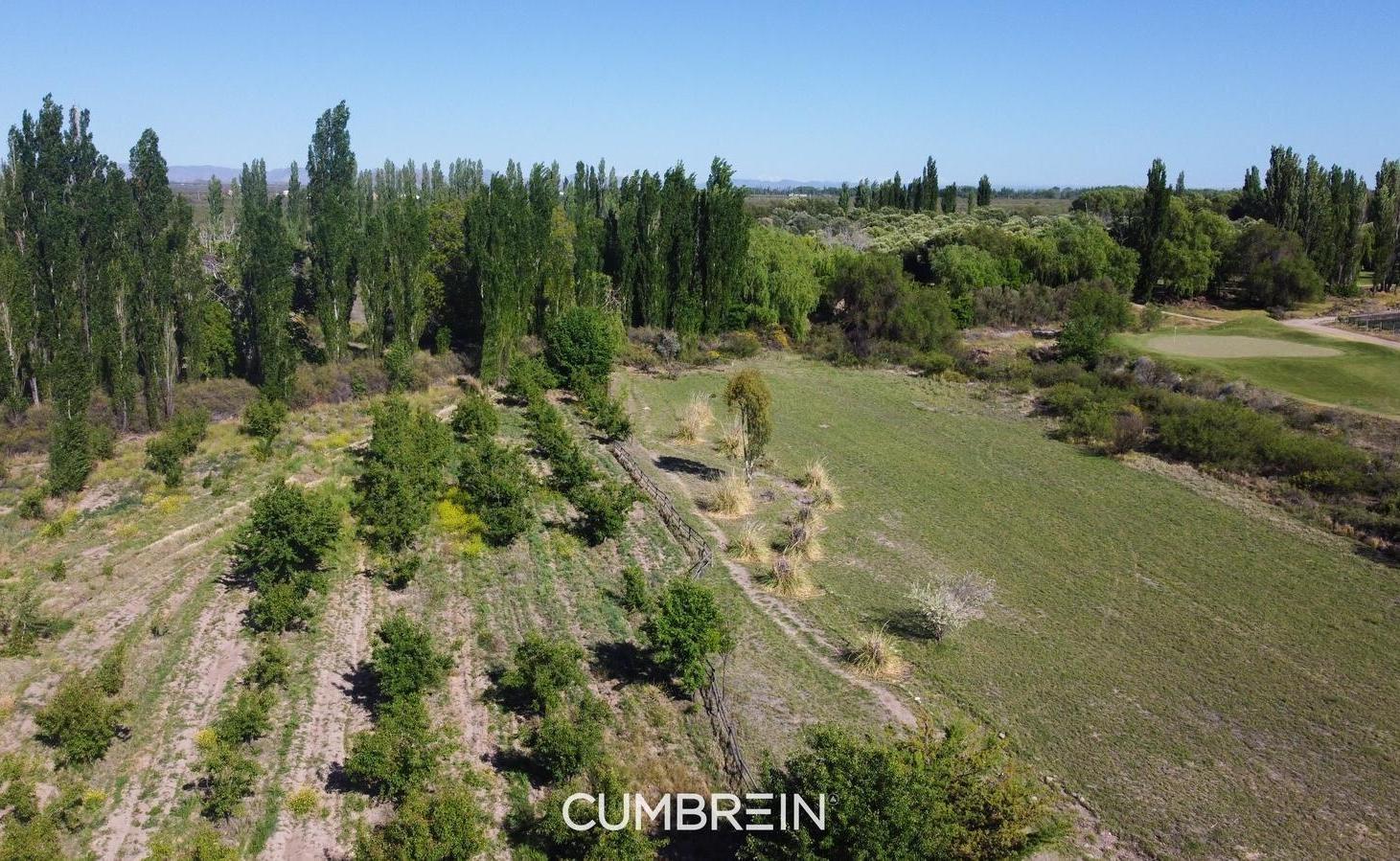Foto de Lote E-9 en Algodon Wine Estates | 5.441 m² | Golf, imagen 5