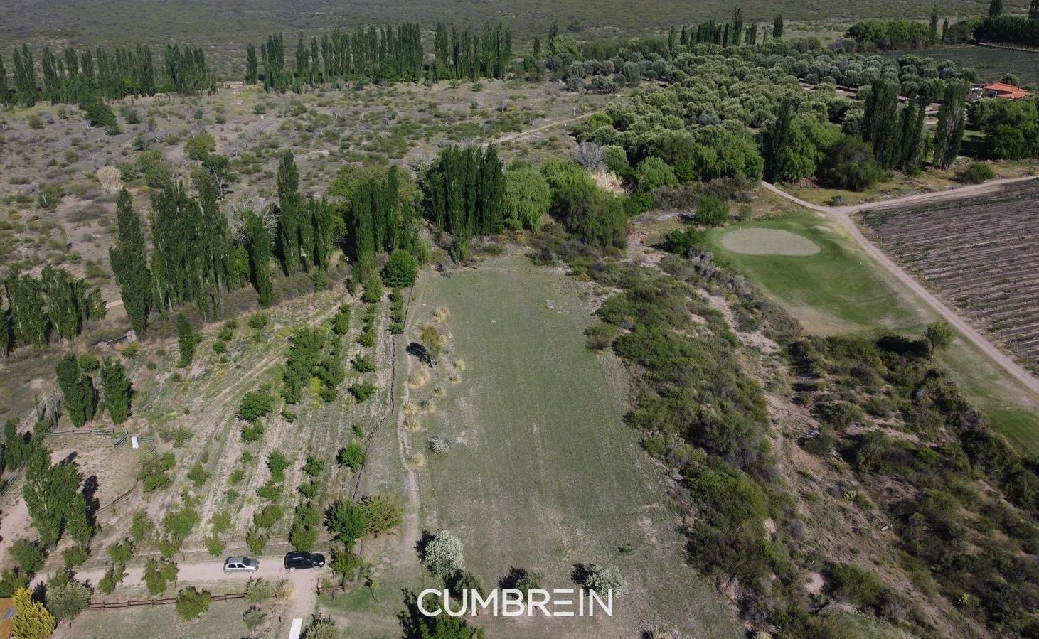 Foto de Lote E-9 en Algodon Wine Estates | 5.441 m² | Golf, imagen 3