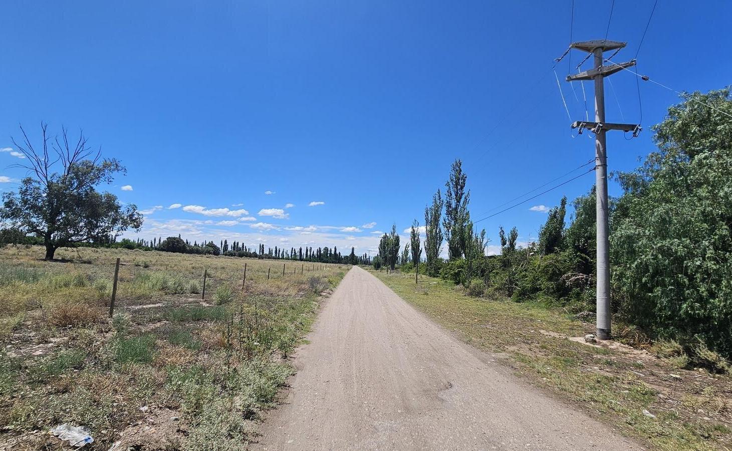 Foto de Terreno de 1.5 has. en esquina en Las Paredes - San Rafael, Mendoza, imagen 3