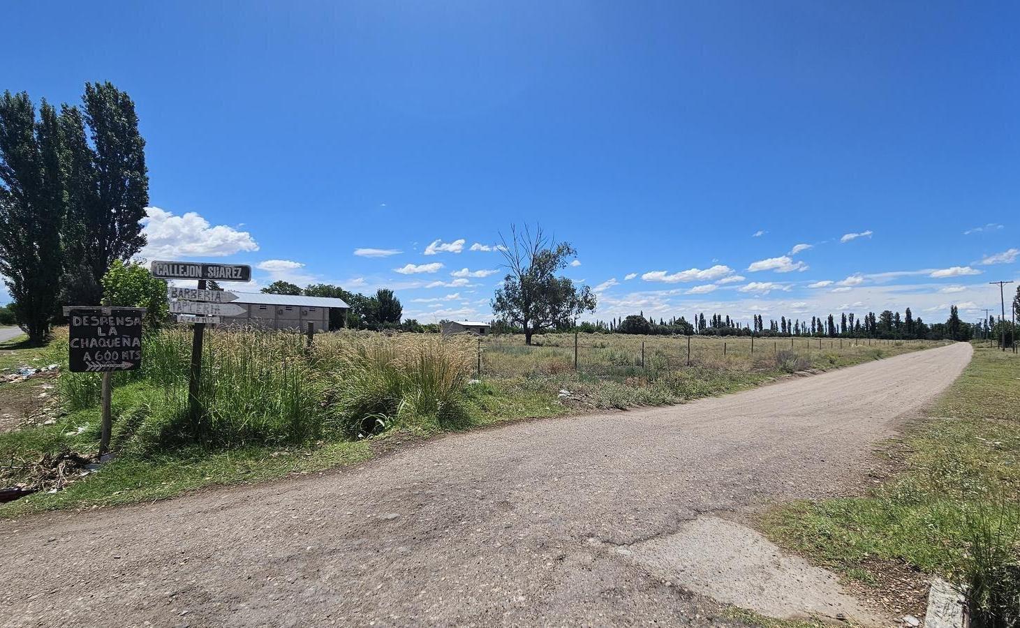 Foto de Terreno de 1.5 has. en esquina en Las Paredes - San Rafael, Mendoza, imagen 1