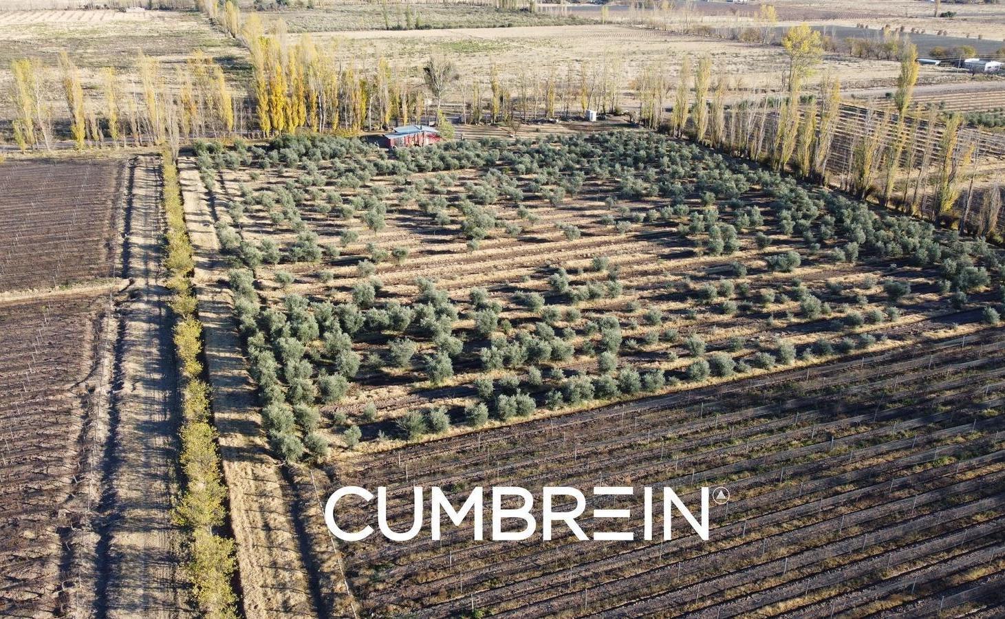 Foto de Finca de 18 hectáreas en Las Paredes - San Rafael, imagen 2
