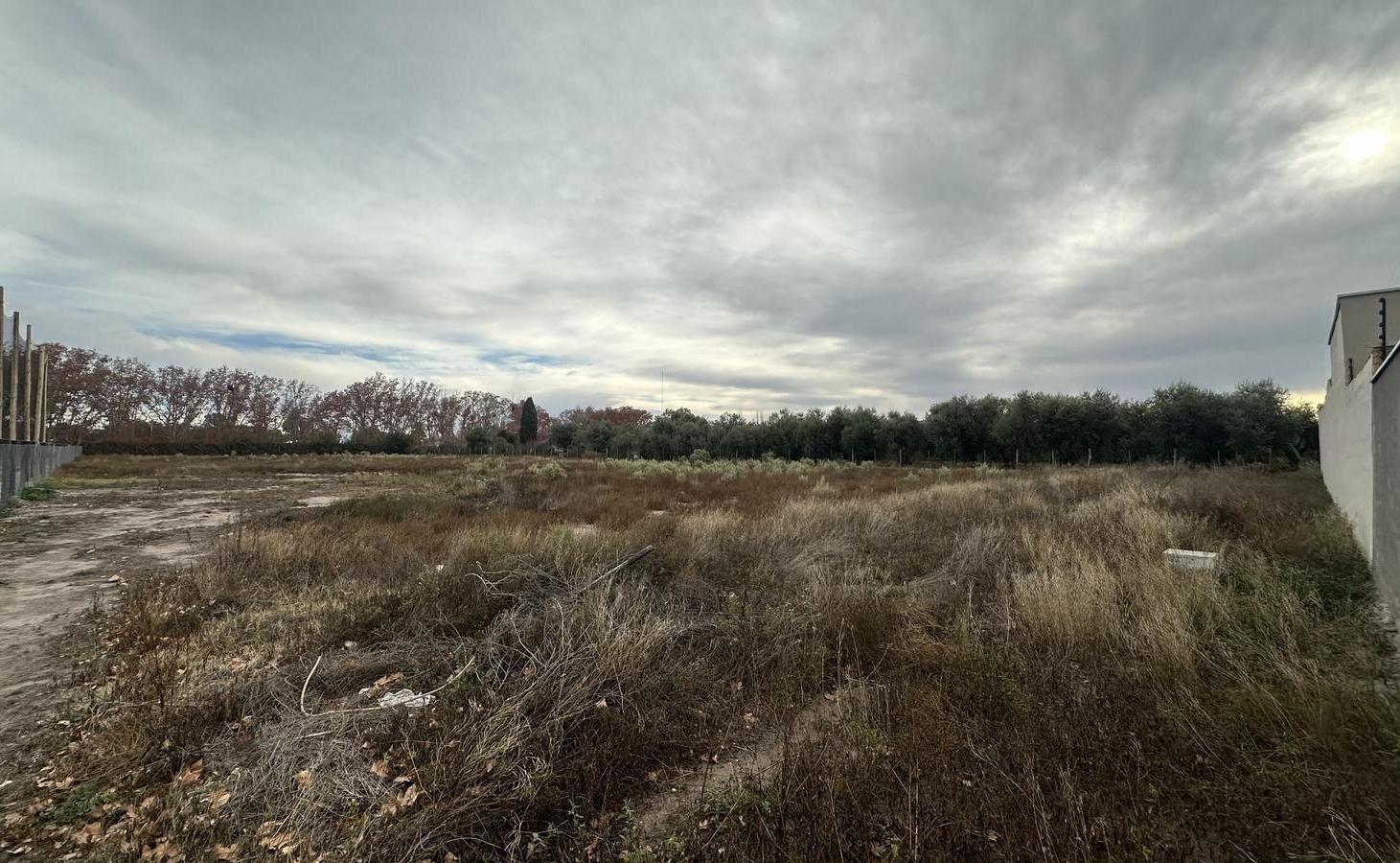 Foto de Terreno en Venta sobre Ruta Nacional 143 a Mtrs del Toledano, San Rafael, imagen 4