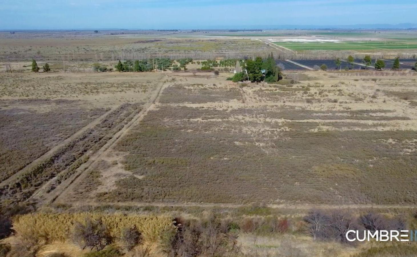 Foto de Finca agrícola de 58 hectáreas - Tabanera, San Rafael, Mendoza, imagen 3