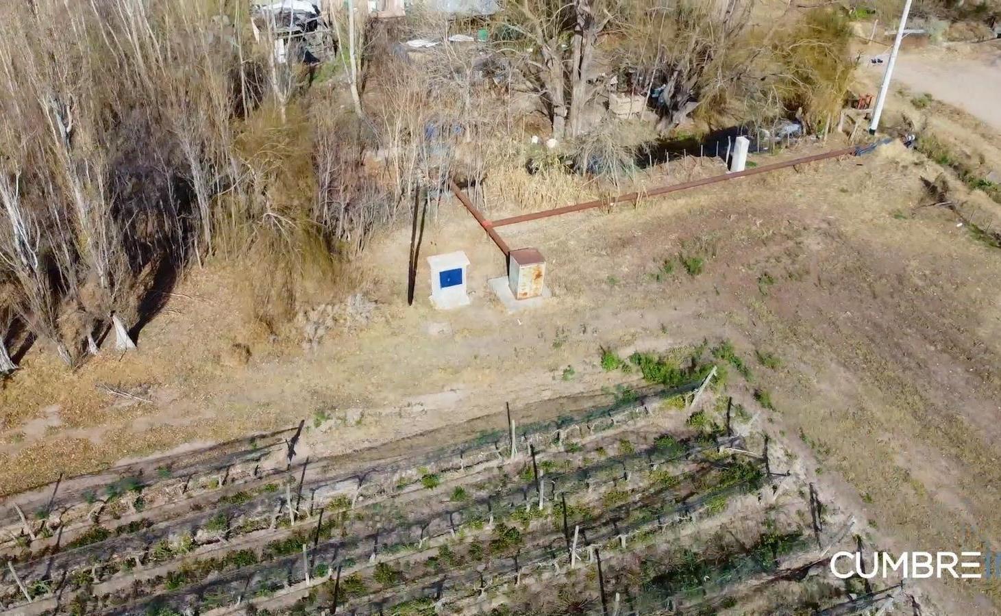 Foto de Finca agrícola de 58 hectáreas - Tabanera, San Rafael, Mendoza, imagen 5
