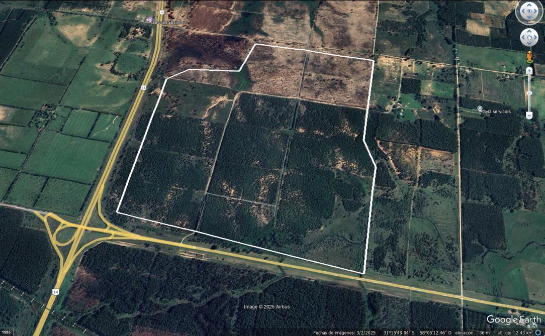 Venta Campo de 286ha varios usos en Concordia sobre ruta 14