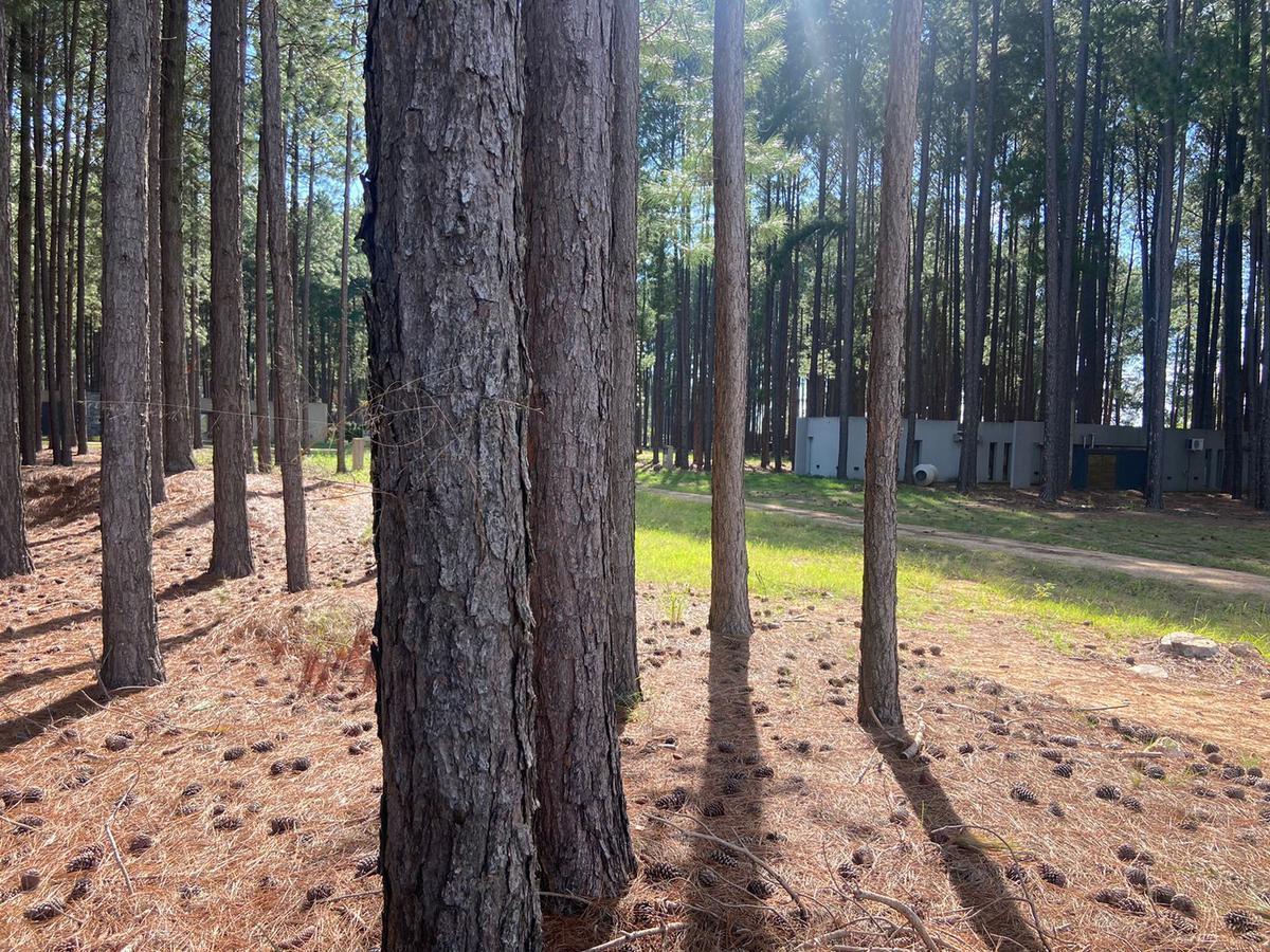 Lotes a la venta en la Aldea Club de Campo - Colon Entre Rios desde USD 38.000!