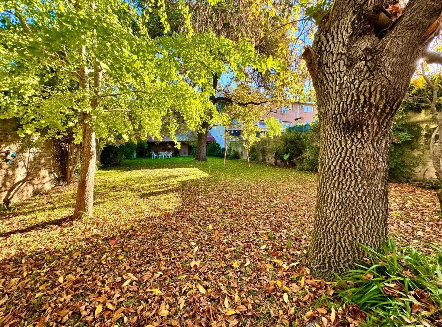 Gran lote en Olivos - Vicente López 2