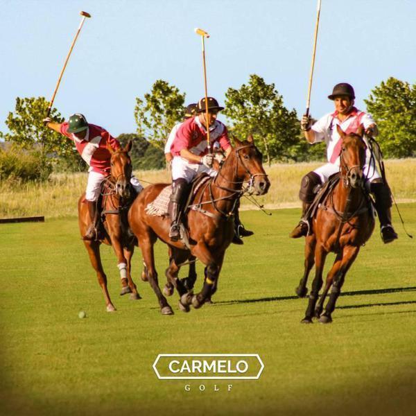 Foto de Gran Lote en Venta en Carmelo Golf sector Lago/Chacras, imagen 4