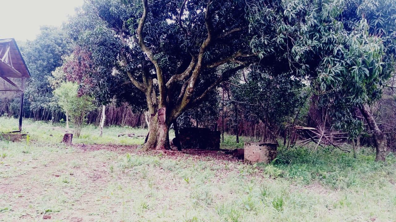 Foto de Terreno de 15mil m2 en venta en San Jose Barrio Don Bosco - Misiones, imagen 1