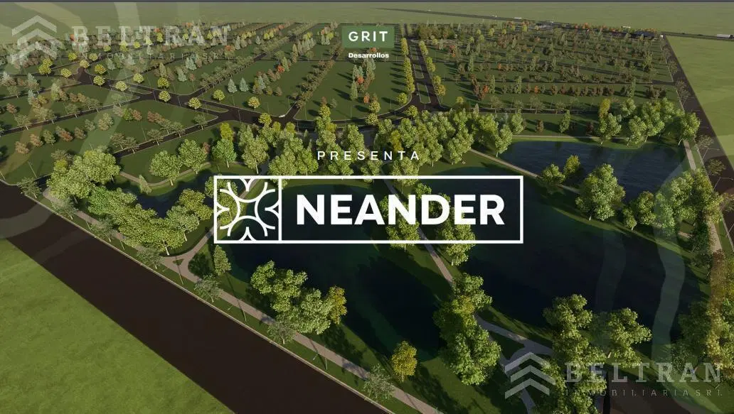Neander 2
