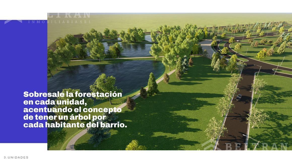 Foto de Neander, imagen 4