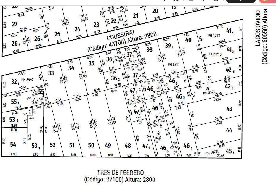Plano 1