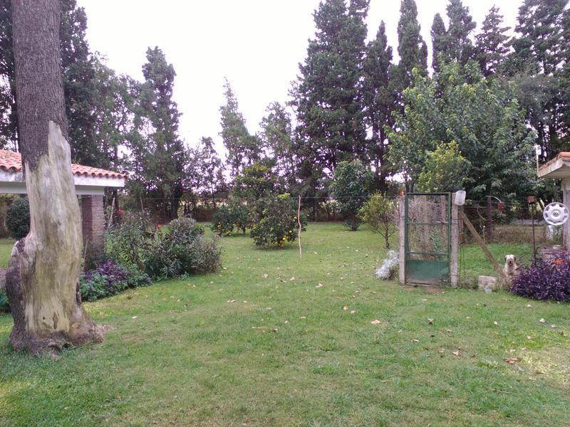 Venta Fracción de Campo - 26 hectáreas - Ibarlucea
