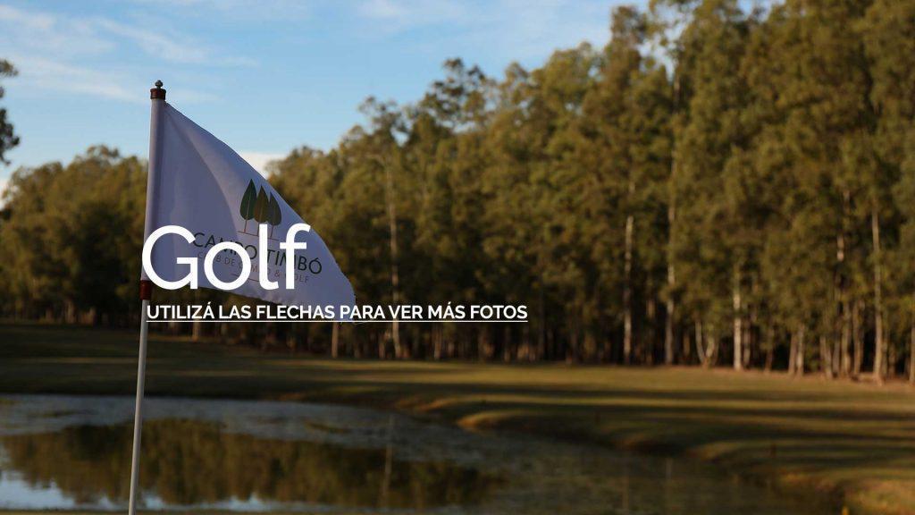 Foto de Venta Lote. Campo Timbó. Oliveros, imagen 3