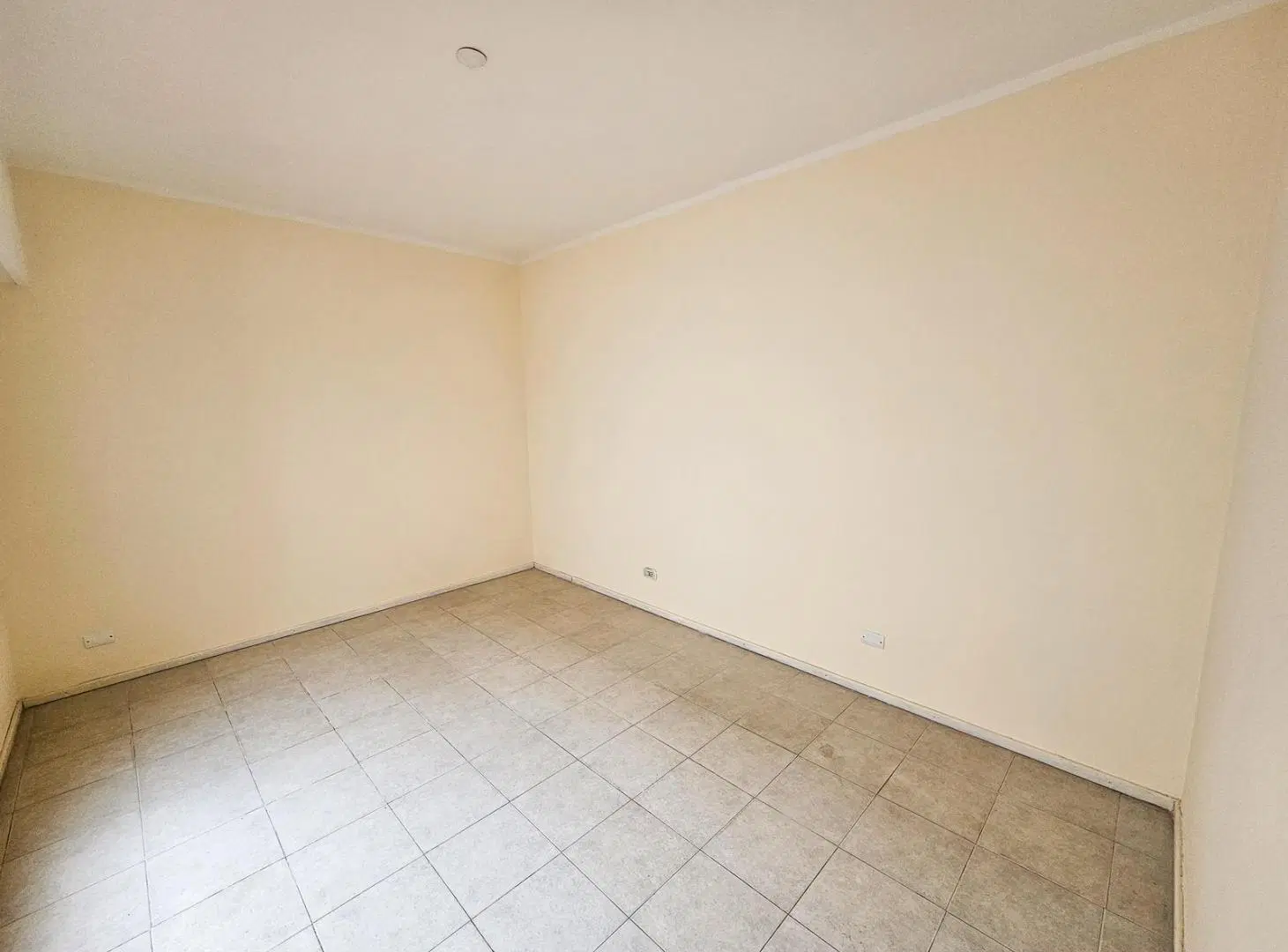 Venta de Salón, Galpón y Vivienda en Zona Sur 3