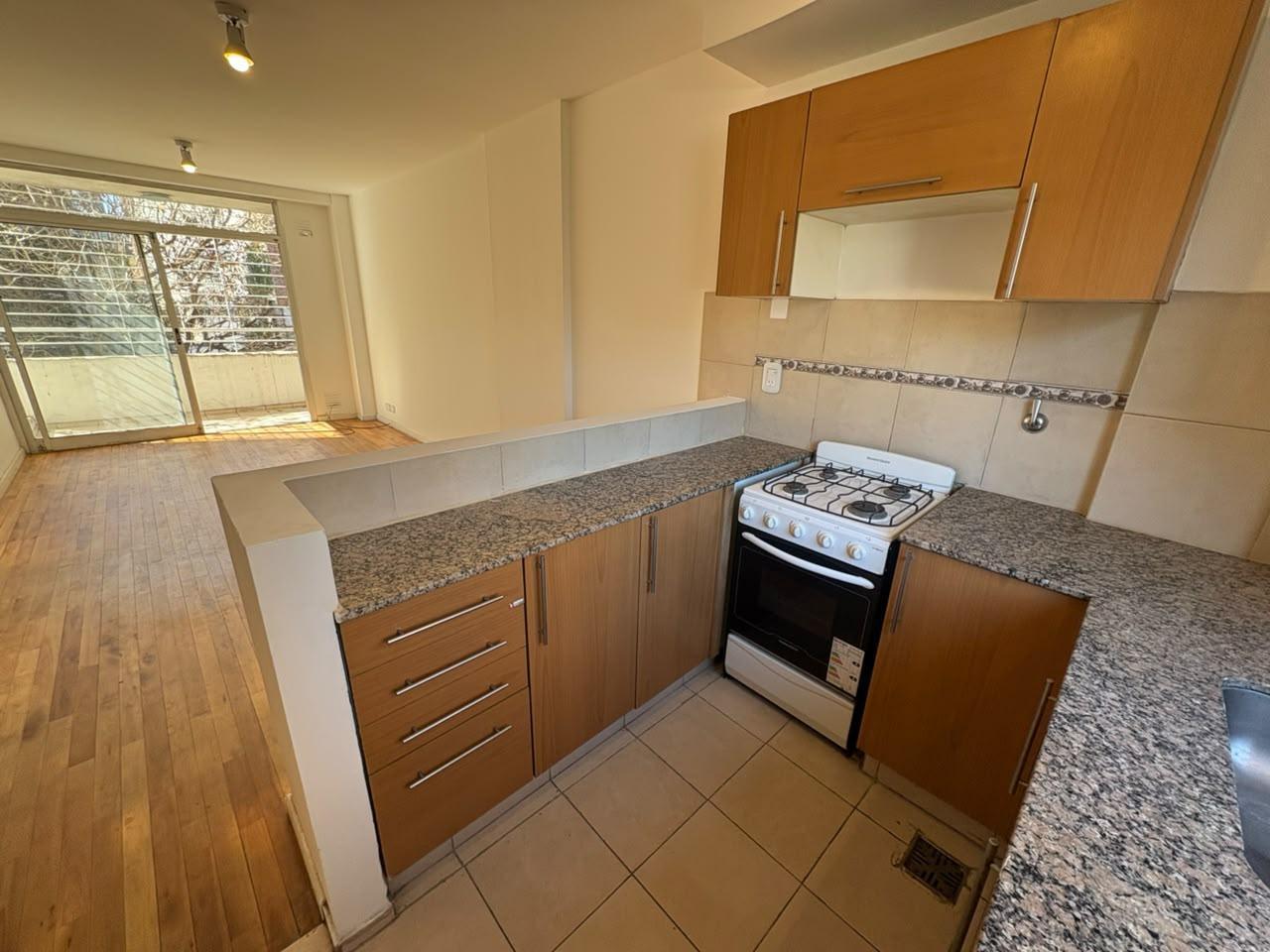 Foto de DEPARTAMENTO DE 1 DORMITORIO EN ALQUILER / ZONA CENTRO, imagen 5