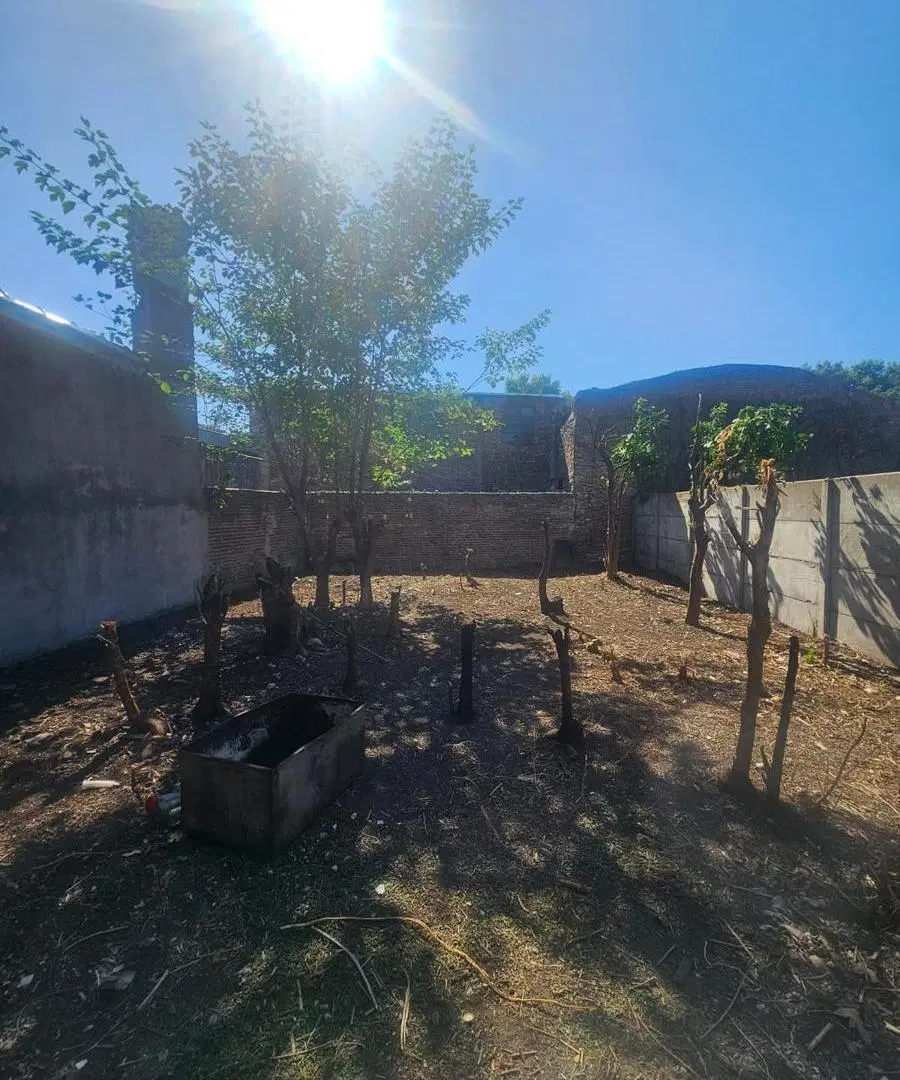 Venta Casa interna de 2 dormitorios en Zona sur. Amplio terreno 4