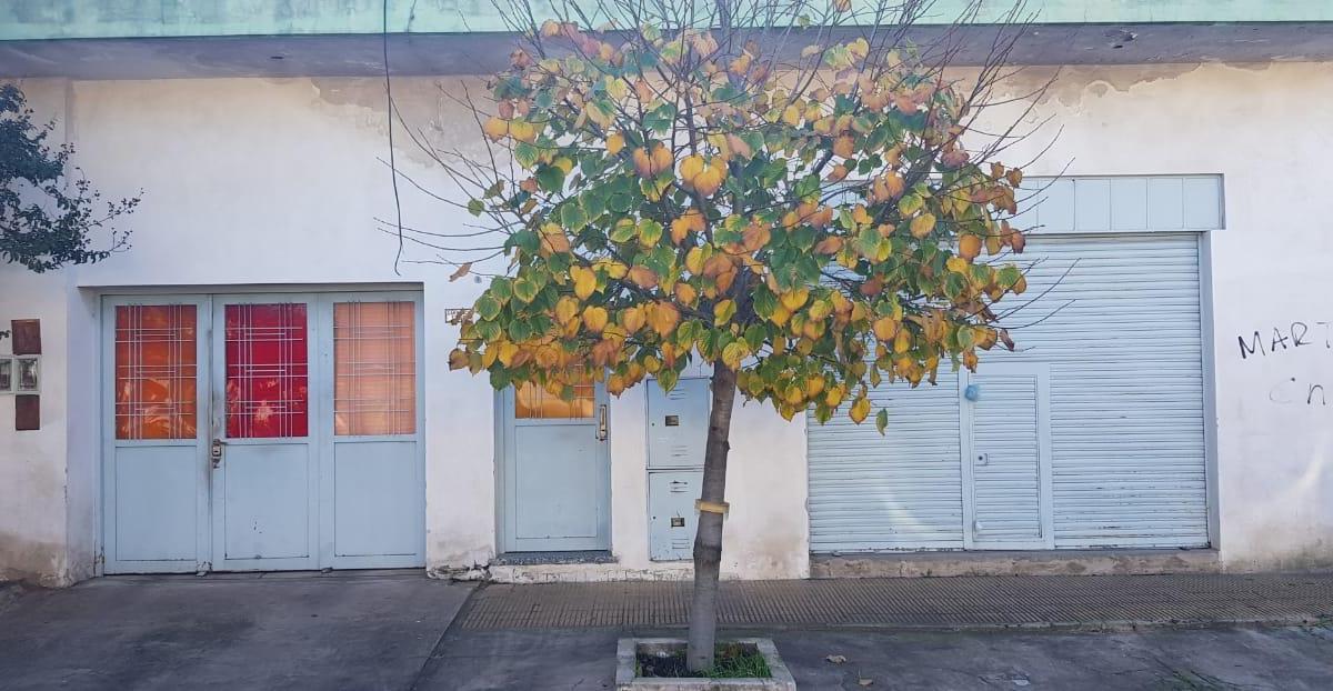 Casa ideal 2 familias y local en Villa Luzuriaga
