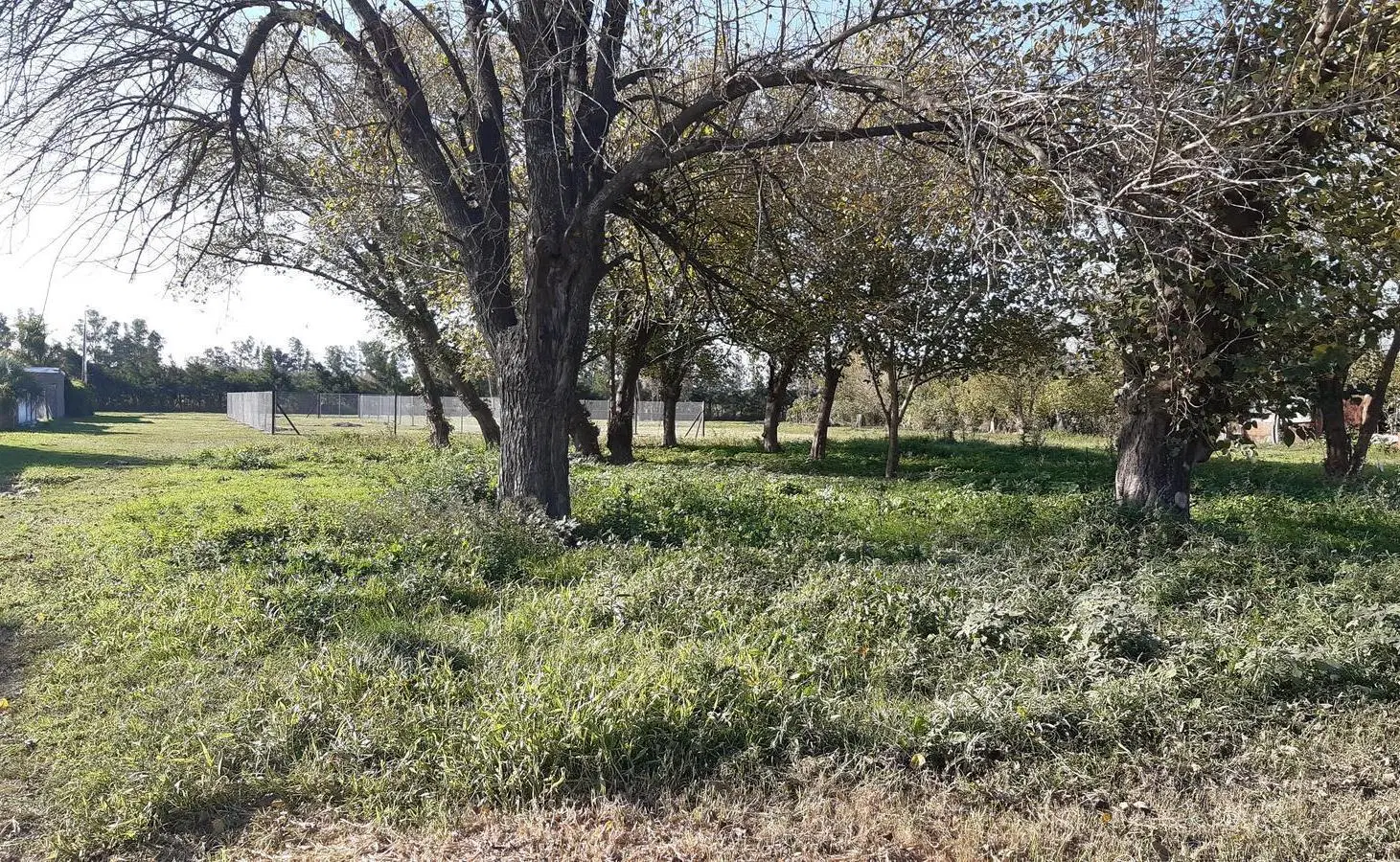 Terreno en Correa 4