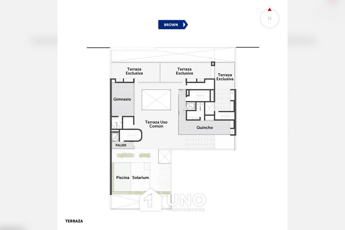 Plano 8