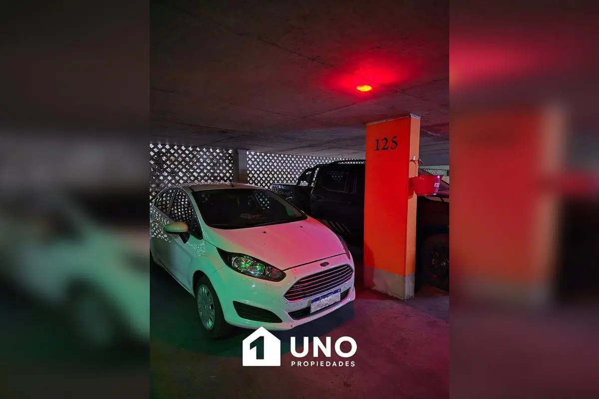 Cochera en ubicación estratégica de Rosario, con seguridad y bajas expensas. 4