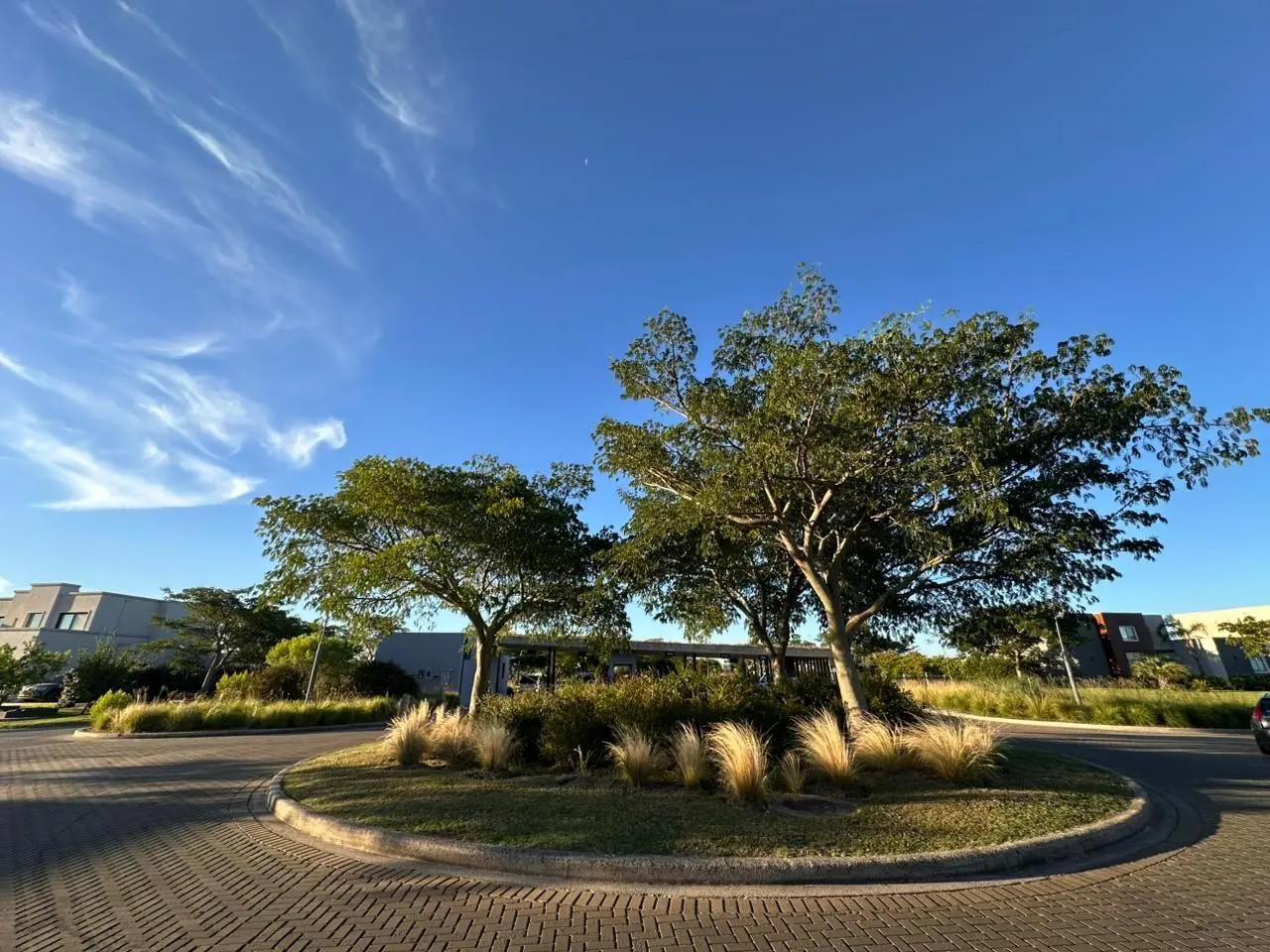 Foto de Terreno en Acacias, imagen 1