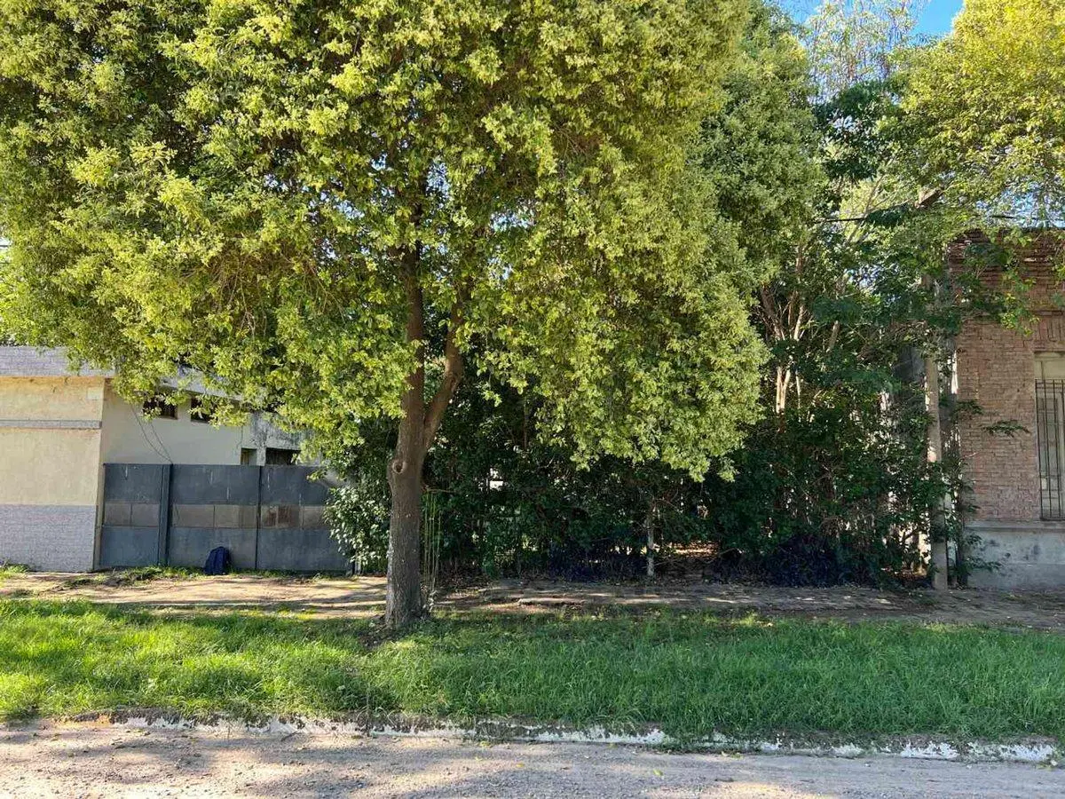VENTA / LOTE / LEHMANN / OPORTUNIDAD 2