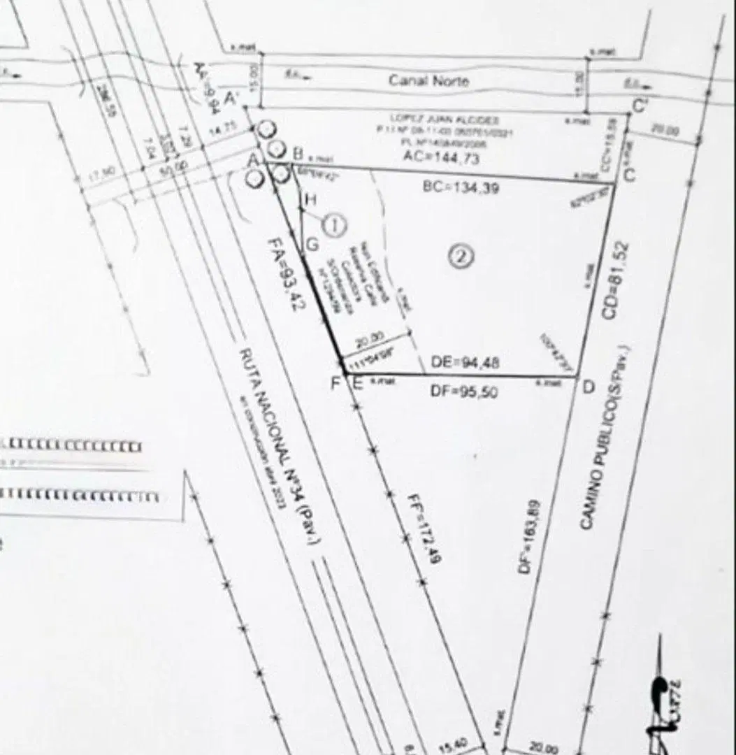 Plano 1