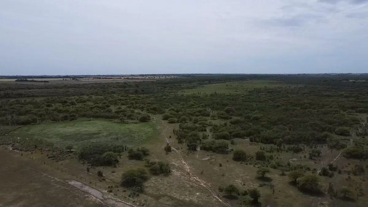 VENTA/CAMPO GANADERO/ ZONA RURAL/ PILAR/ SANTA FE 3