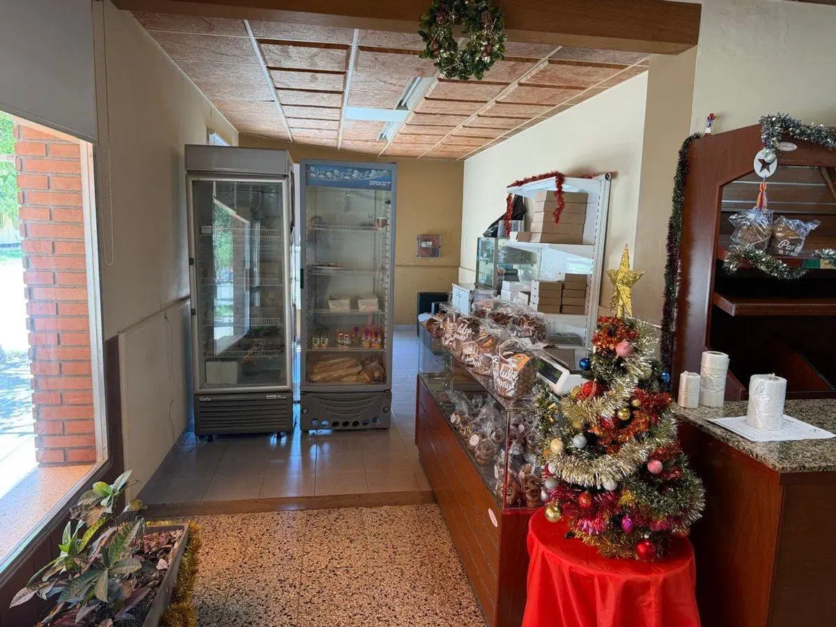 VENTA / VIVIENDA FAMILIAR Y LOCAL COMERCIAL 5