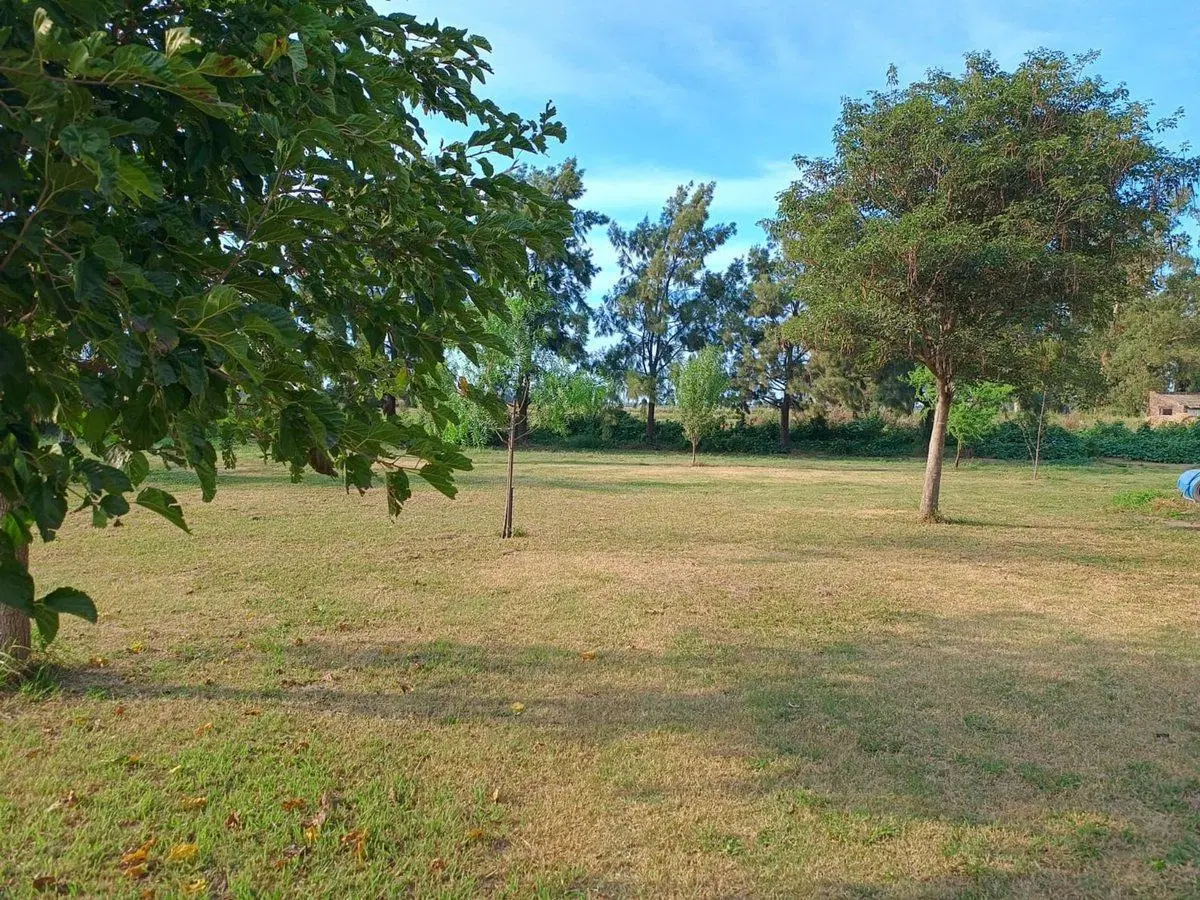 ALQUILER / CASA Y CAMPO / COL RAQUEL 4
