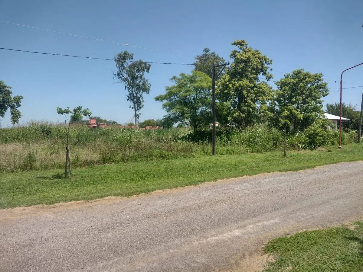 TERRENO/1225 M2/BAUER Y SIGEL/OPORTUNIDAD 4