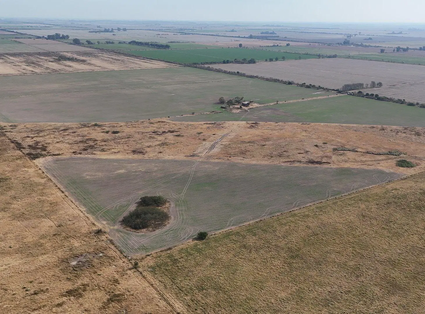 VENTA / CAMPO / BELLA ITALIA 4