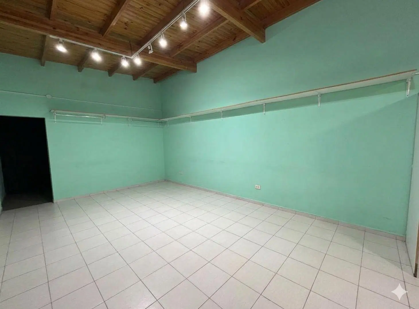 ALQUILER/LOCAL COMERCIAL/AV ITALIA 2