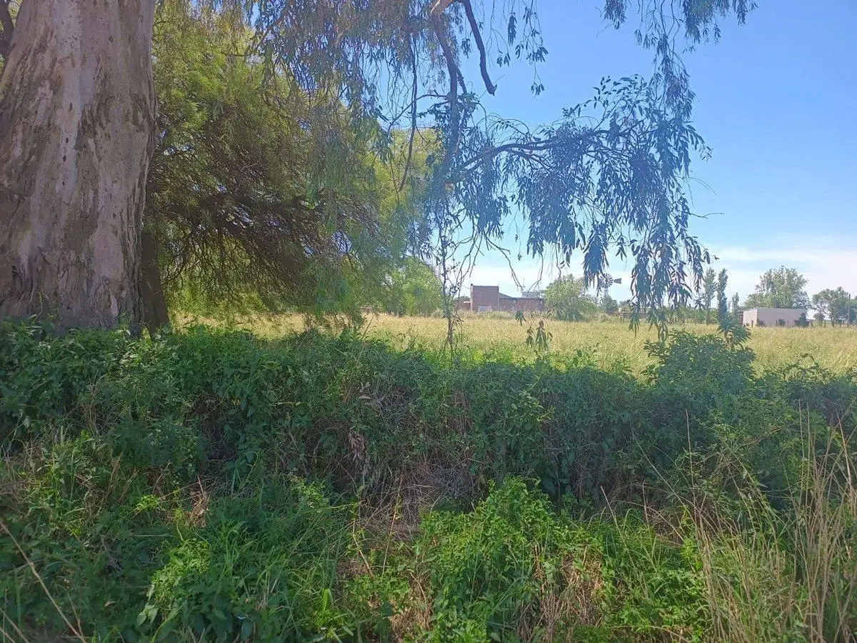 VENTA / FRACCION CAMPO / ALDAO 3