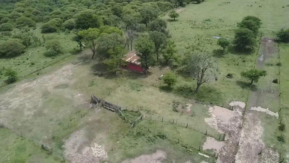 VENTA/CAMPO GANADERO/ ZONA RURAL/ PILAR/ SANTA FE 3